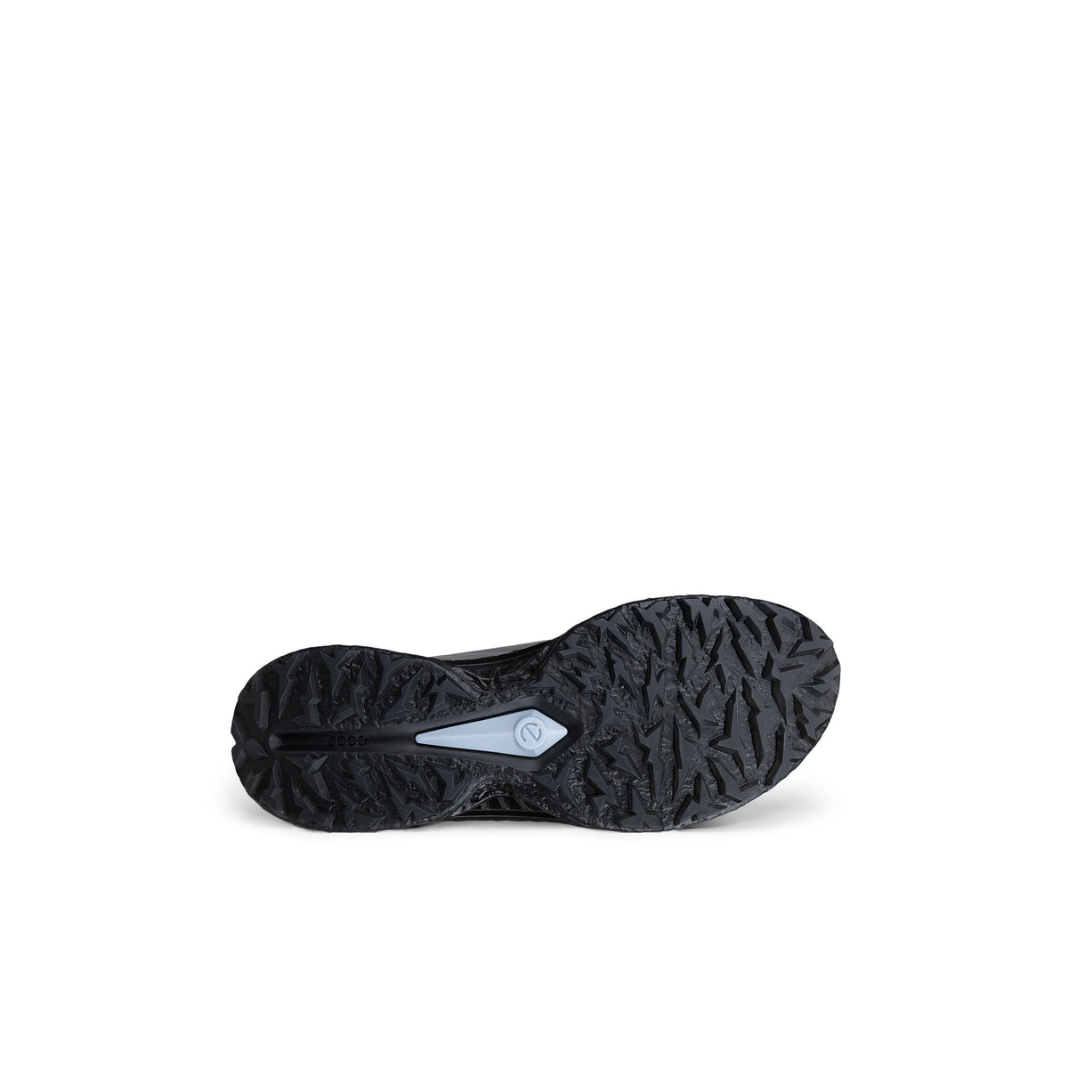 ECCO GOLF BIOM C5 MEN'S SHOE