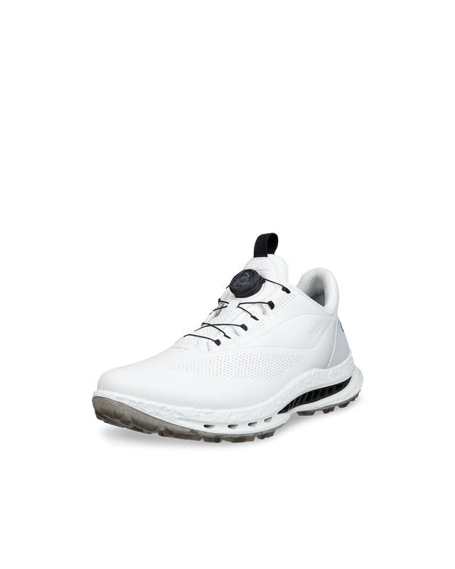 CHAUSSURE ECCO GOLF BIOM C5 HOMME
