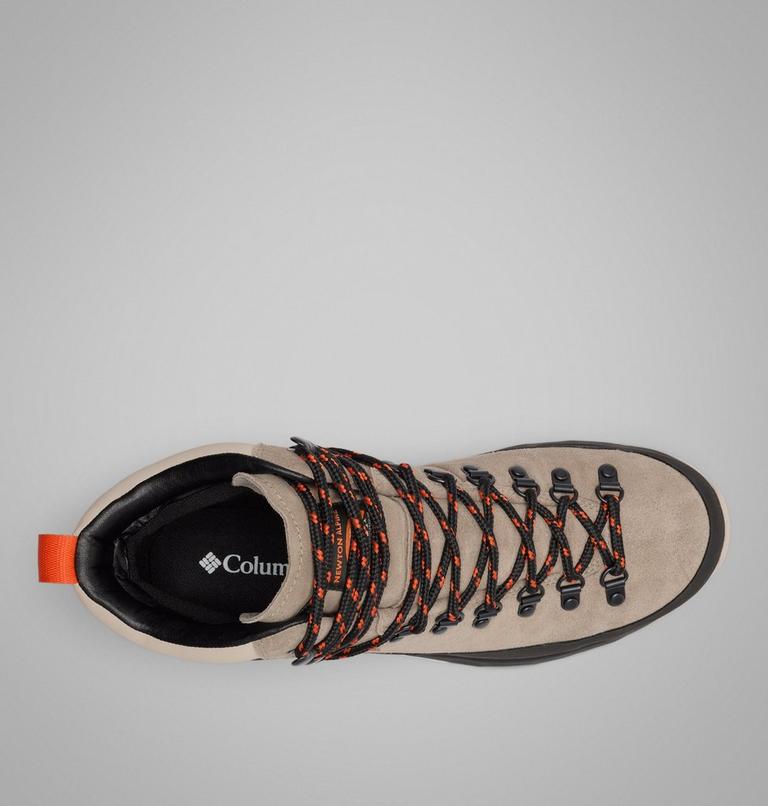 Botte Columbia Newton Alpine PT Homme