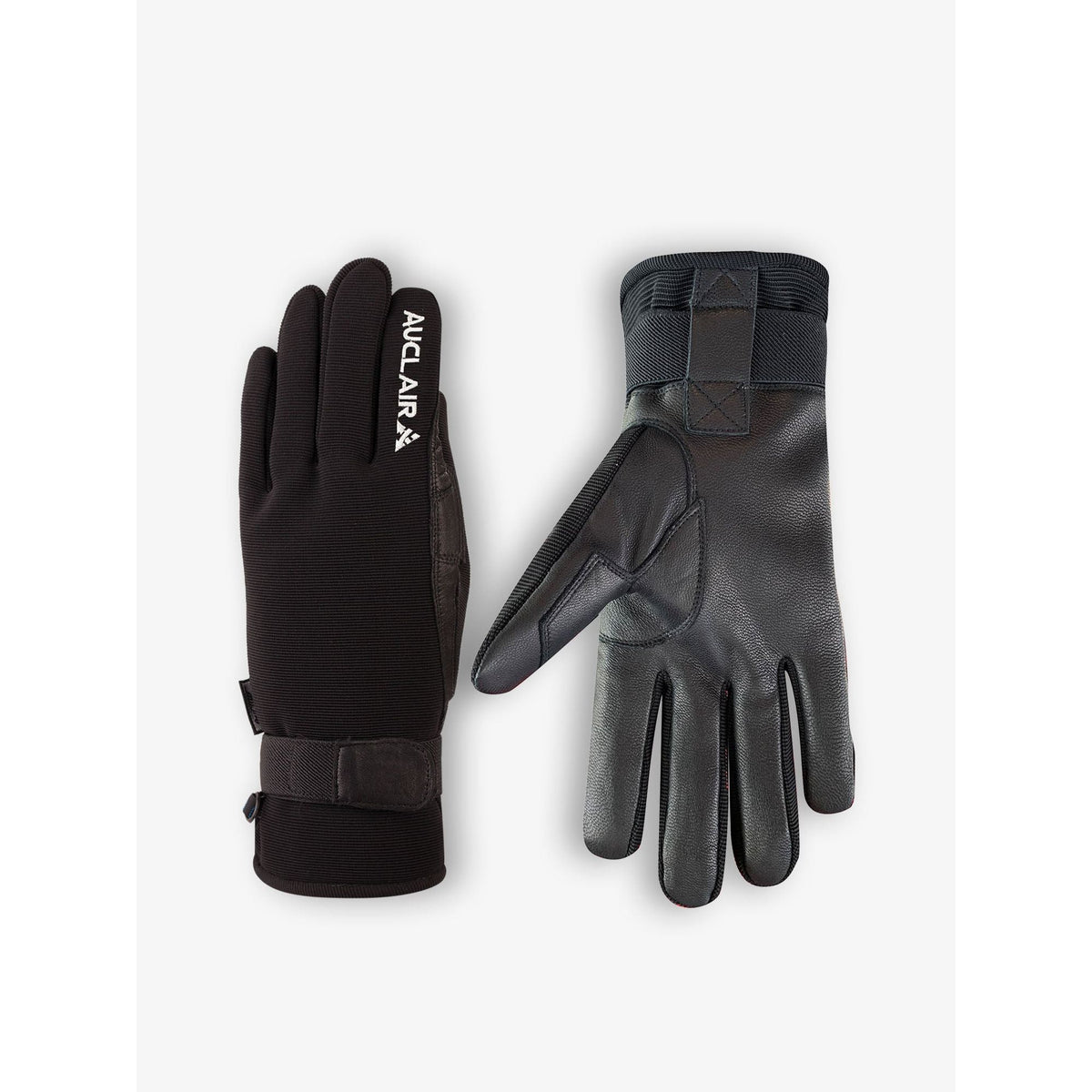 Gant Skater Auclair Femme