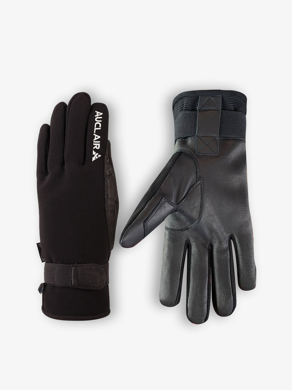 Gant Skater Auclair Femme