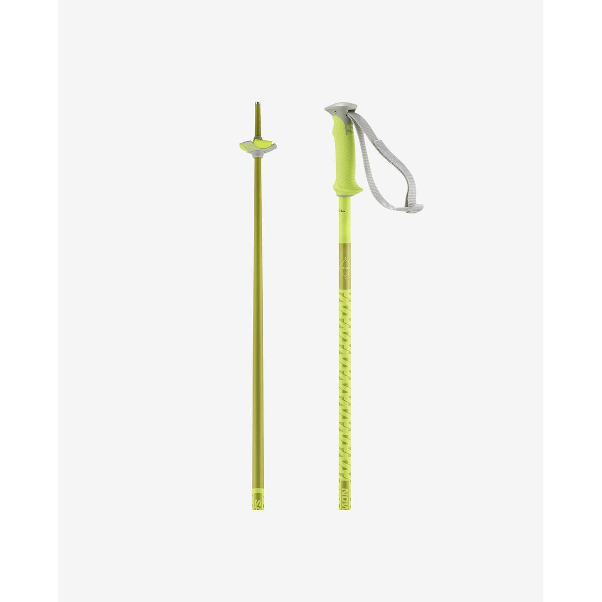 Salomon Polar Durable Performance Ski Poles