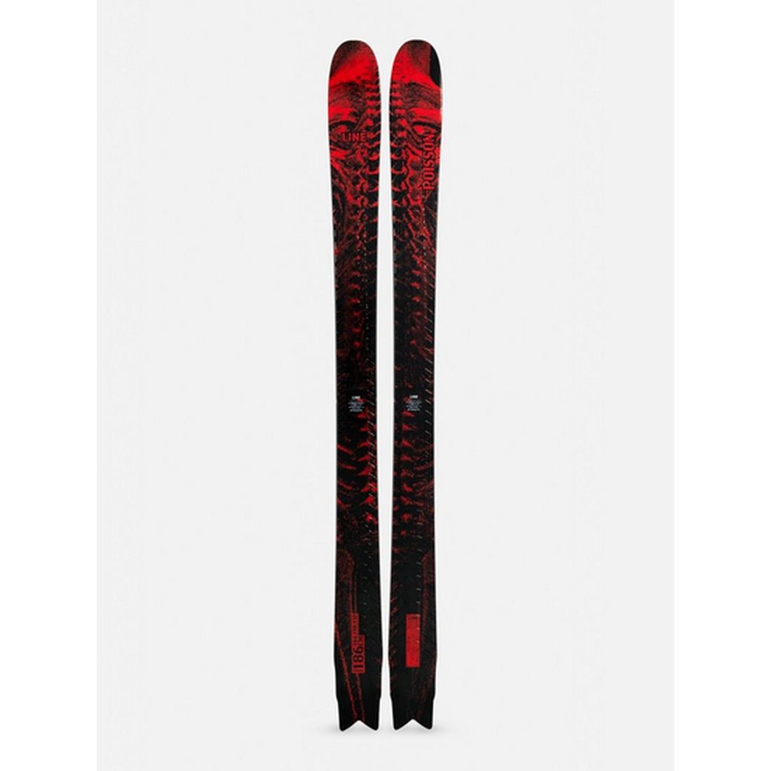 Ski Line Fish