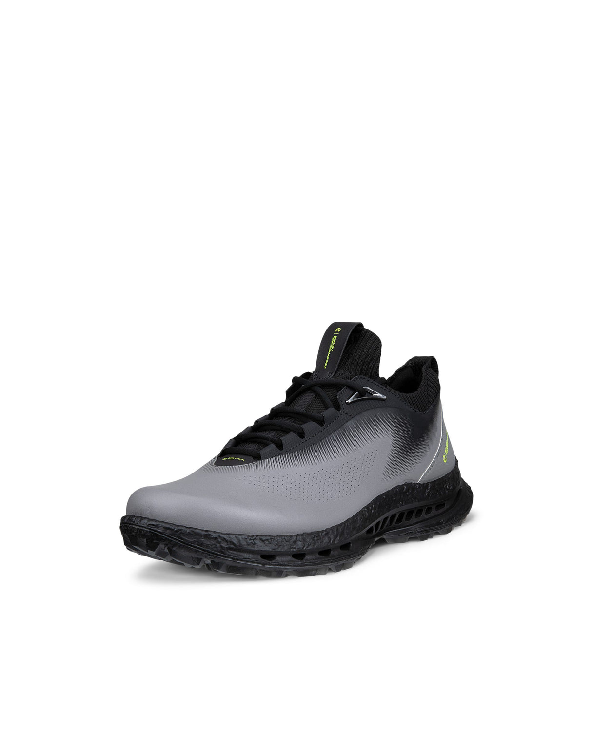 CHAUSSURE ECCO GOLF BIOM C5 HOMME