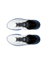 CHAUSSURE ECCO GOLF BIOM C5 HOMME