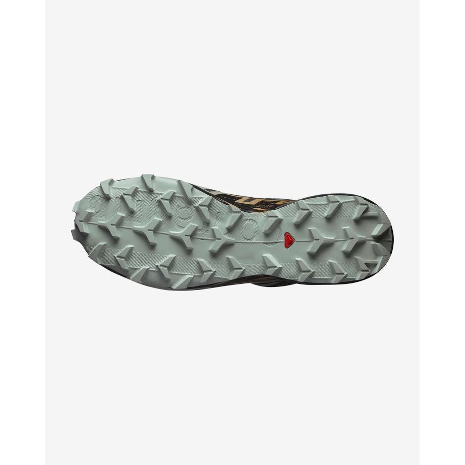 Salomon Speedcross 6 GTX Men's Trail Running Shoes: Waterproof and Grippy with Contagrip Outsole