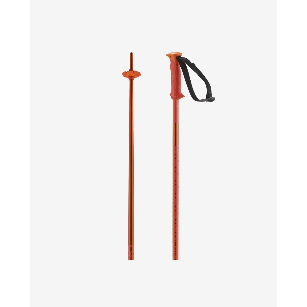 Salomon Polar Durable Performance Ski Poles