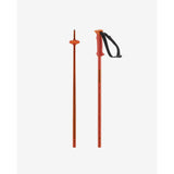 Salomon Polar Durable Performance Ski Poles