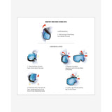 LUNETTE SALOMON SENTRY PRO OTG