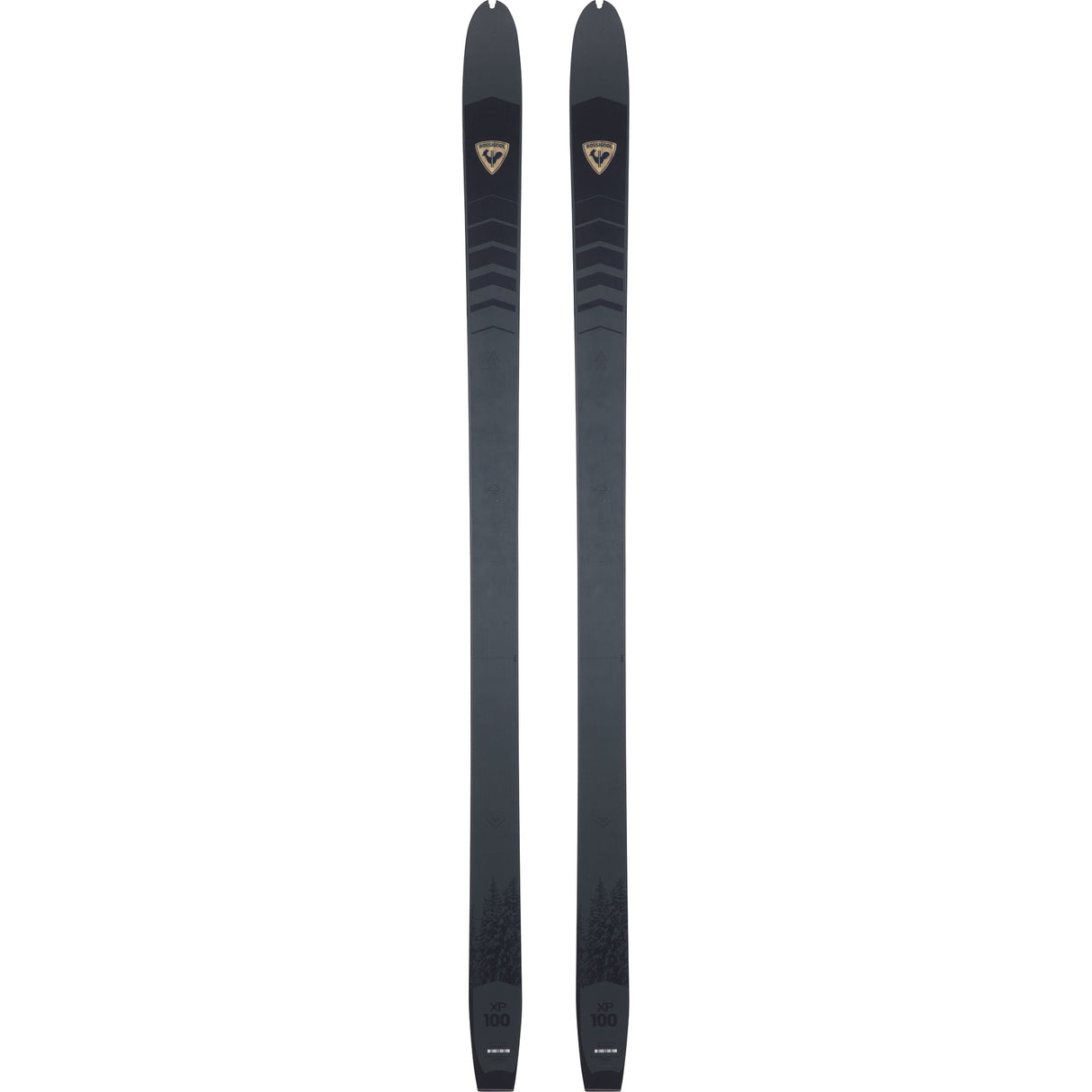 Rossignol Cross-Country Ski Off-Piste XP 100 Positrack Performance