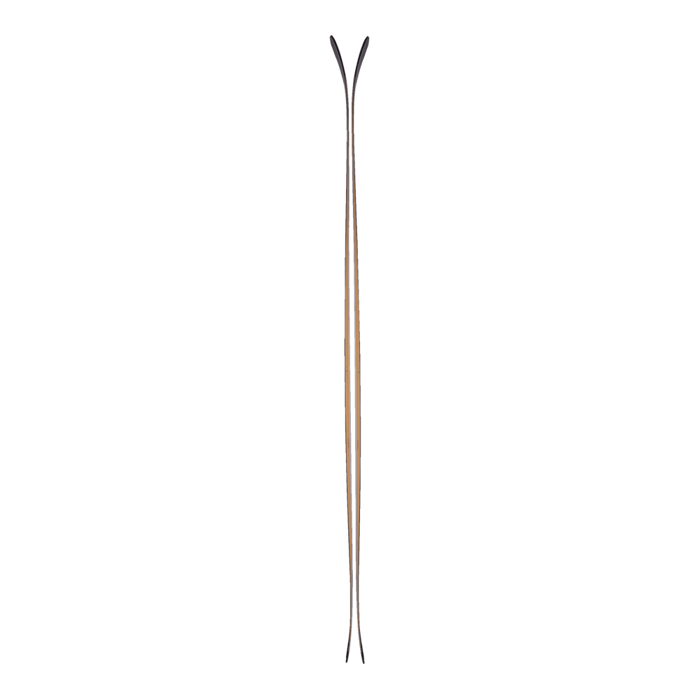 Elan Ripstick 102 Black Edition Skis Flat