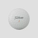 2026 BALLE TITLEIST VELOCITY