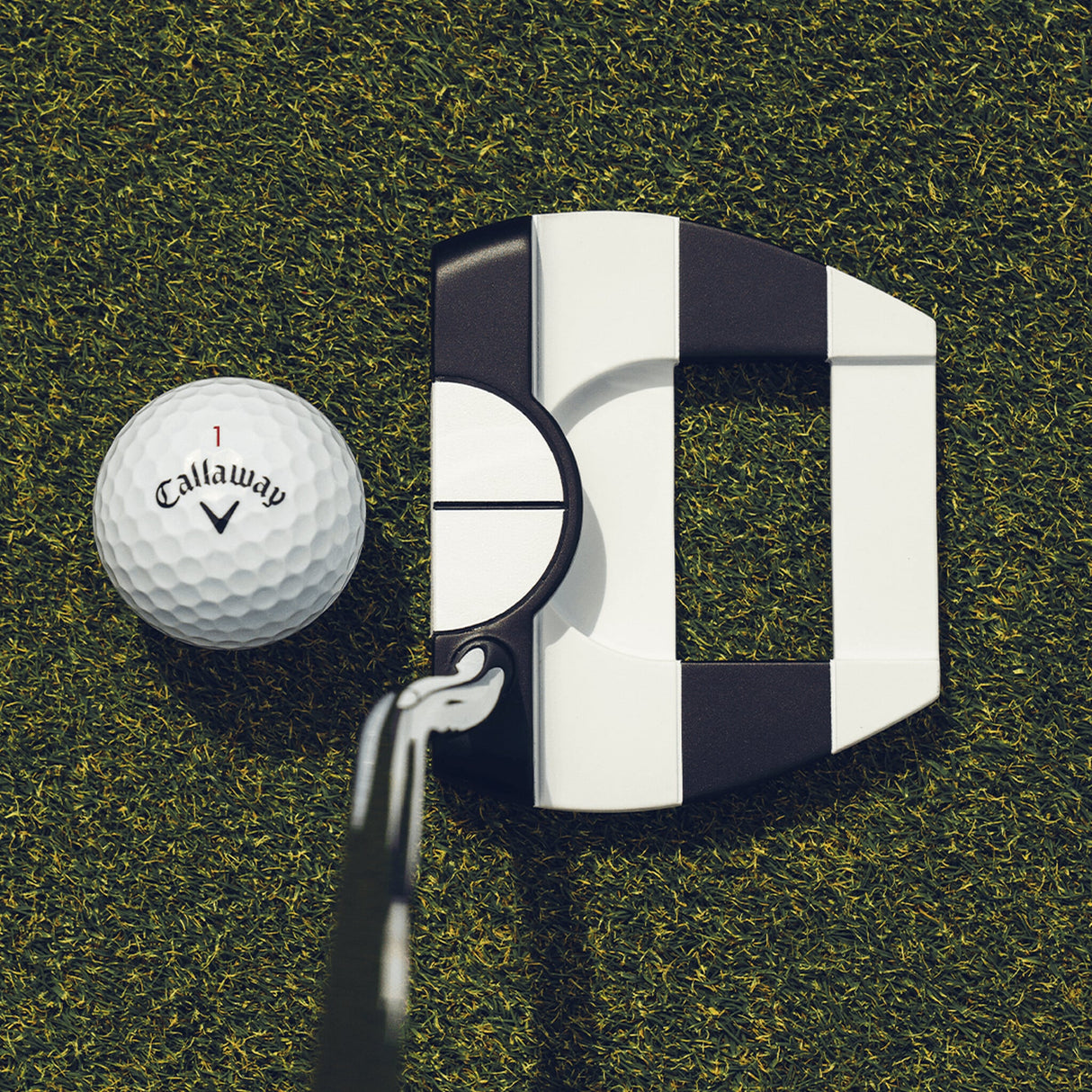 PUTTER ODYSSEY AI DUAL JAIL BIRD MINI 1/2 BALL