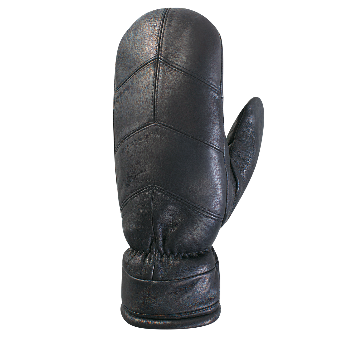 Gant Auclair Chevy Men Premium Performance Winter Gloves