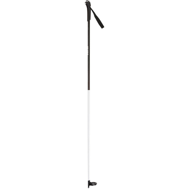 CROSS-COUNTRY POLE SKIING ROSSINOL FT-500